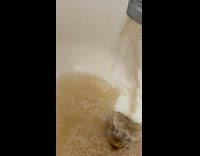 Faucet fills up bathtub with dirty water