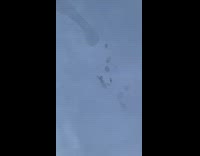 Black birds fly around in groups blue sky