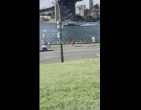 Woman in red dress with a fur poses in the middle of the street