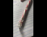 Ants crawl on red white candy cane 
