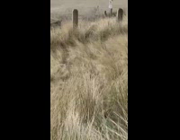 Woman white jacket run spin beach tripod