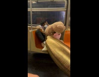 Collab Subway Creatures - Man sleep in train large banana pillow