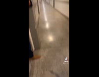 Collab Clips mpugc - Girl accidentally scares stranger in hallway