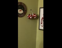Guy tells mom ornaments are balls on wall