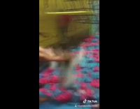 Little girl hangs onto handlebar swing above foam pit, lets go and lands on her butt