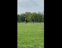 Girl black suit walk spin park grass