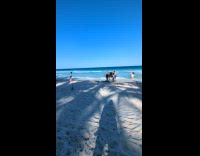 Family films tiktok video at the beach