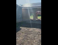 Baby deer doe hiding in garage