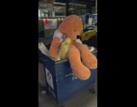 Person Passes Over Stuffed Bear Named Ted