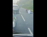 Two people lie down pictorial traffic road