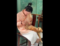 Cat lays on woman lap gets massage