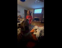 Brown dog plays balloon catch with kid