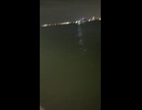 Guy reel small shark from bay night