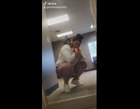 Girl sphynx cat blue shark costume mirror