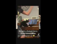 Cat startled by fire wand 