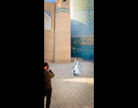 Woman blue outfit poses near blue mosque