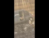 Amazon worker with goats inside his van