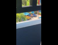 Woman in bikini poses on the sunbed