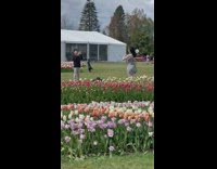Girl grey dress dance beside flowers overcast