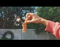 Big dog jumps to bite piece of toast from hand 