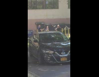 People at the park with a lot of birds around them