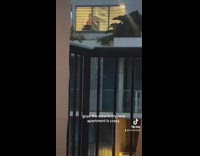 Collab BoysIG_Default - Woman sees shirtless man exercise across building