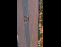 Brown fox walks across parking lot car