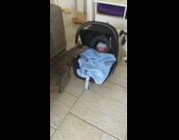 Two cats meet newborn baby boy 