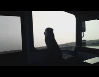 Collab DailyDoseOfInternet - Dense fog outside bus observed by the filmer inside it