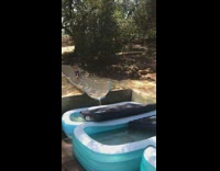 Guy slides down waterfall fast and slams into inflatable swimming pool outside