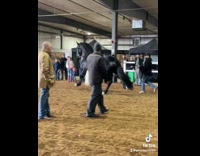 Collab BitchMP - Small skinny horse glow up