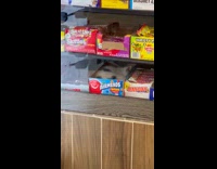 Collab WINY - Kitten sleep in snack box inside store