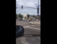 Collab Kook Of The Day - guy on bike with his surf board behind him