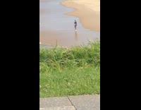 Man blue jacket dance beach seaside music