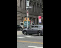 Guy in parked car with pigeons on arm and inside car