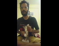 Guy makes kitten cat play air drums 
