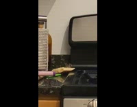 BitchMP - Little rat on stove counter cheese