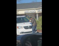 Man chocolate tissue white car hood pictorial