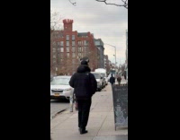 Collab WINY - Man in black jacket walking on street carrying cat on head 