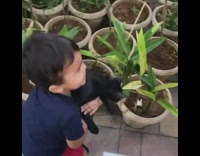 Toddler picks up a black cat