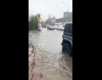 Collab WINY - Woman walk outside on flooded street NYC