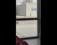 Blue ridge lumber two girls wall