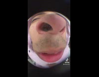Guy lip sings with fisheye 