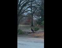 Woman uses Christmas tree for counterbalance exercise 