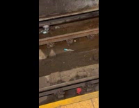 Collab WINY - White blue knife found on train tracks