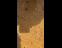 Water on wood vibrates slow motion shadow 