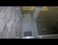 Bird fly in front of door security footage