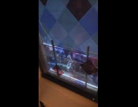 Collab winy - Mans view from window is neighbors laundry