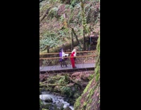 Girls in costumes pose on bridge