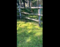 Woman shows perfect mushroom 